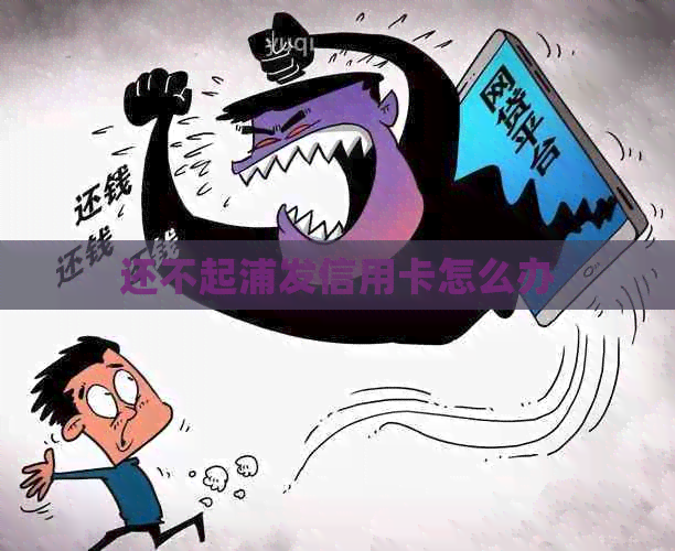 还不起浦发信用卡怎么办