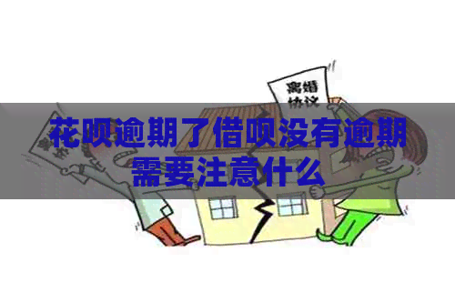 白条逾期了信用卡没有逾期需要注意什么