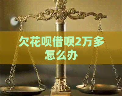 欠白条信用卡2万多怎么办