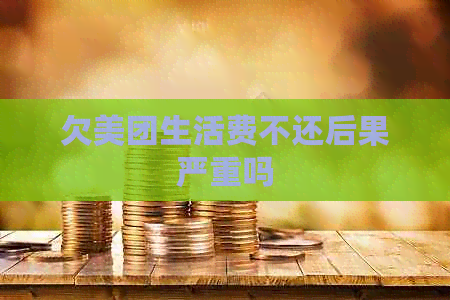 欠美团生活费不还后果严重吗