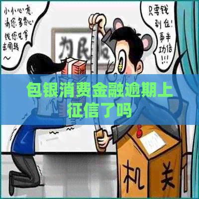 包银消费金融逾期上了吗