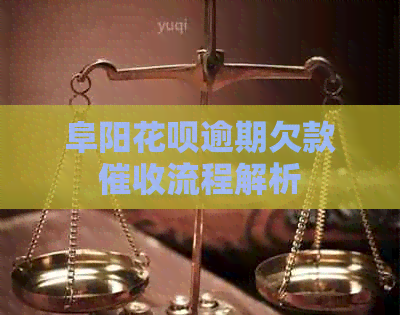 阜阳白条逾期欠款流程解析