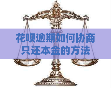 白条逾期如何协商只还本金的方法
