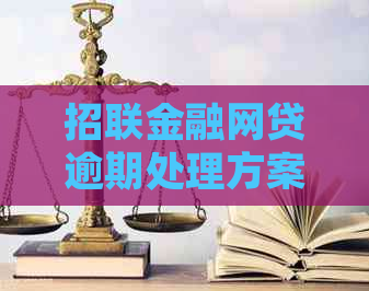 招联金融网贷逾期处理方案有哪些