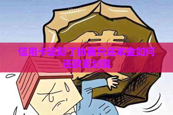 信用卡逾期了协商只还本金如何还款更划算