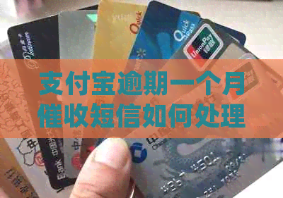 信用卡逾期一个月短信如何处理