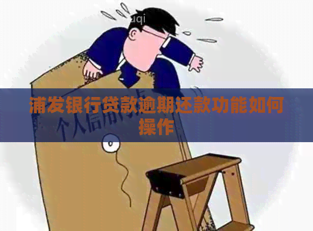 浦发银行贷款逾期还款功能如何操作