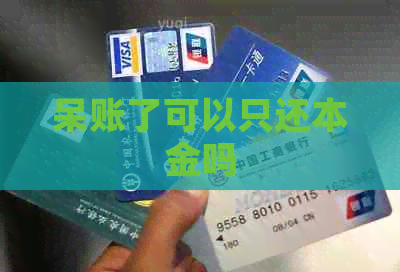 呆账了可以只还本金吗