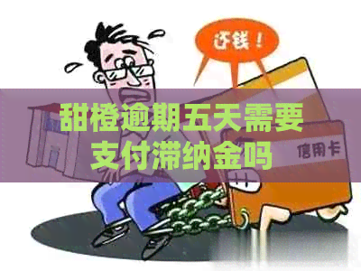 甜橙逾期五天需要支付滞纳金吗
