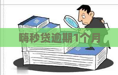 嗨秒贷逾期1个月