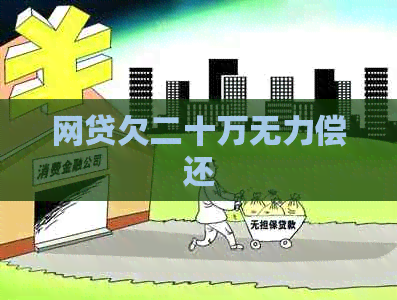 网贷欠二十万无力偿还