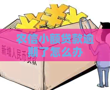 农信小额贷款逾期了怎么办