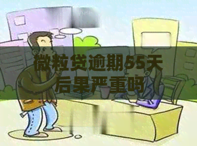 微粒贷逾期55天后果严重吗
