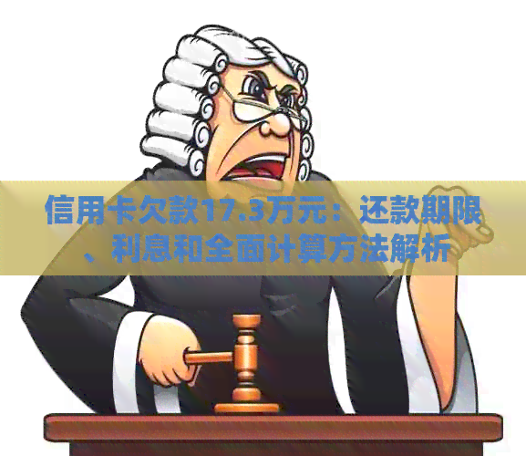 信用卡欠款17.3万元：还款期限、利息和全面计算方法解析
