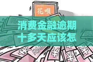 消费金融逾期十多天应该怎么处理