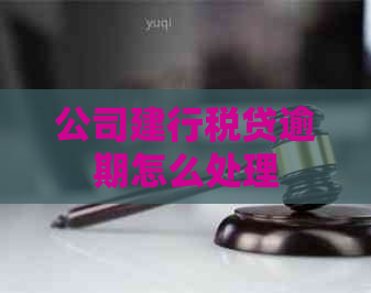 公司建行税贷逾期怎么处理