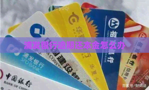 浦发银行逾期还本金怎么办