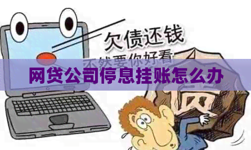 网贷公司停息挂账怎么办