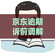 京东逾期诉前调解应对策略