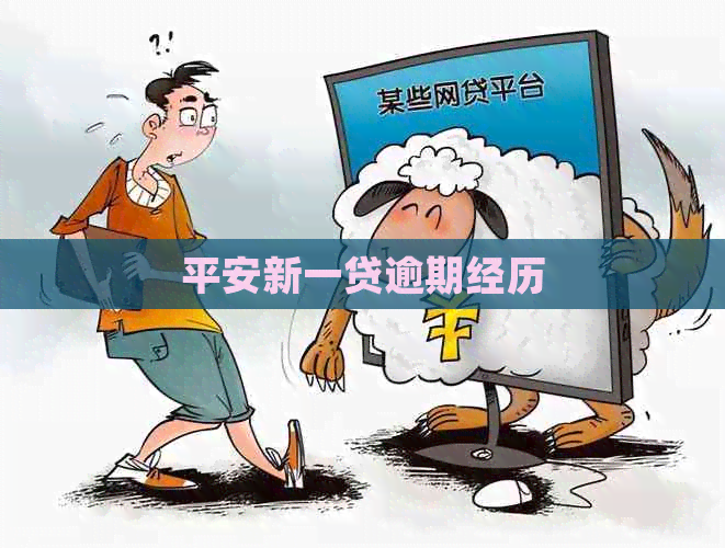 平安新一贷逾期经历