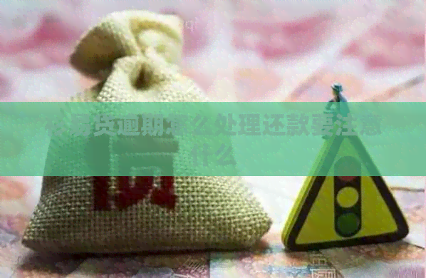 杉易贷逾期怎么处理还款要注意什么