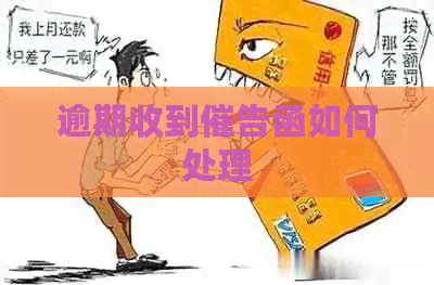逾期收到催告函如何处理