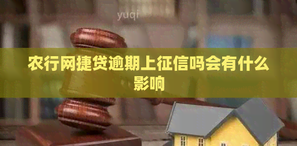 农行网捷贷逾期上吗会有什么影响