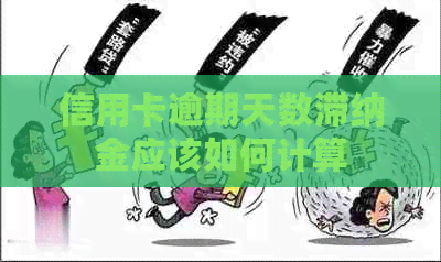 信用卡逾期天数滞纳金应该如何计算