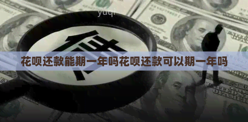 白条还款能期一年吗白条还款可以期一年吗