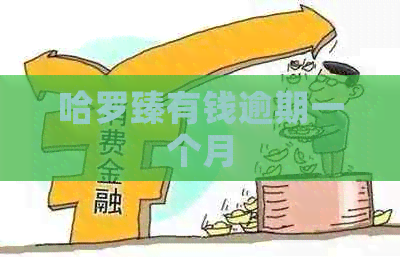 哈罗臻有钱逾期一个月