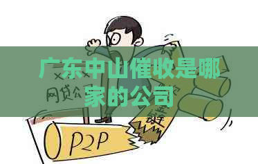广东中山是哪家的公司