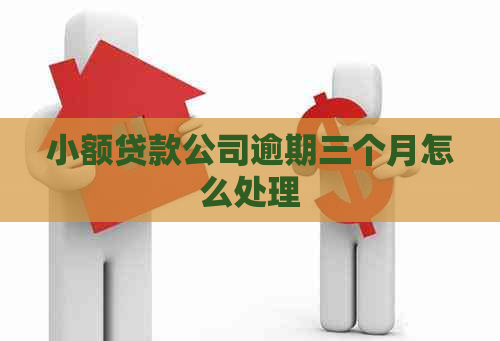 小额贷款公司逾期三个月怎么处理
