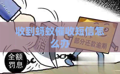 收到蚂蚁短信怎么办
