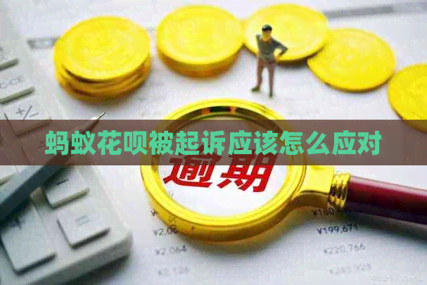 蚂蚁白条被起诉应该怎么应对