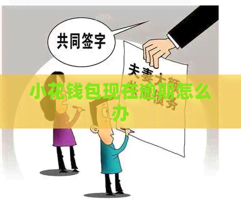 小花钱包现在逾期怎么办
