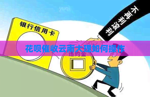 白条云南大理如何操作