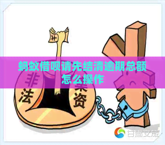 蚂蚁信用卡请先结清逾期总额怎么操作