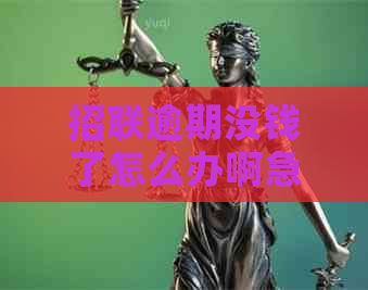 招联逾期没钱了怎么办啊急需解决方案