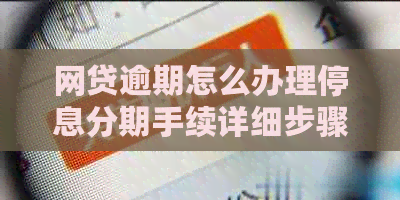 网贷逾期怎么办理停息分期手续详细步骤