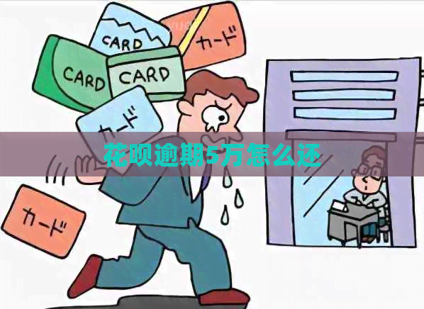 白条逾期5万怎么还