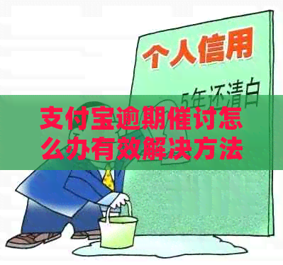 信用卡逾期催讨怎么办有效解决方法