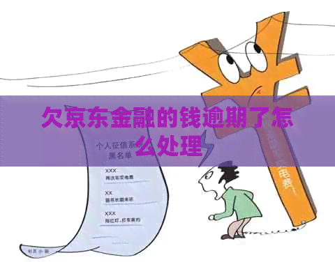 欠京东金融的钱逾期了怎么处理