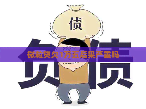 微粒贷欠1万五后果严重吗