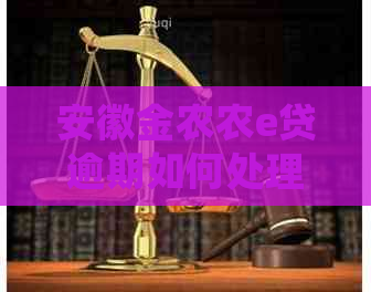 安徽金农农e贷逾期如何处理