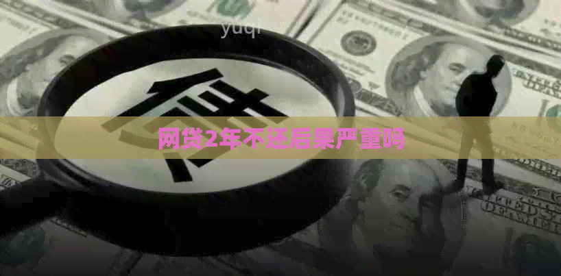 网贷2年不还后果严重吗