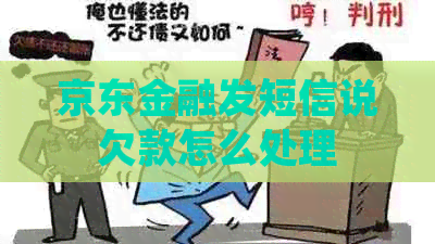 京东金融发短信说欠款怎么处理