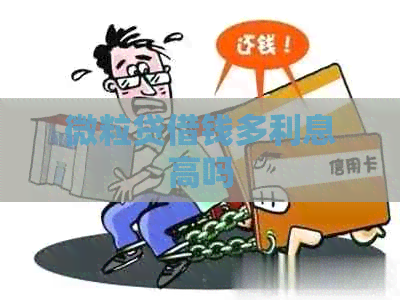 微粒贷借钱多利息高吗