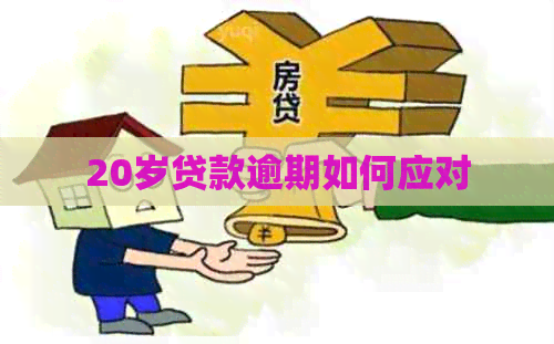 20岁贷款逾期如何应对