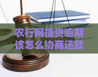 农行网捷贷逾期该怎么协商还款方法