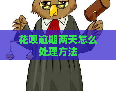 白条逾期两天怎么处理方法